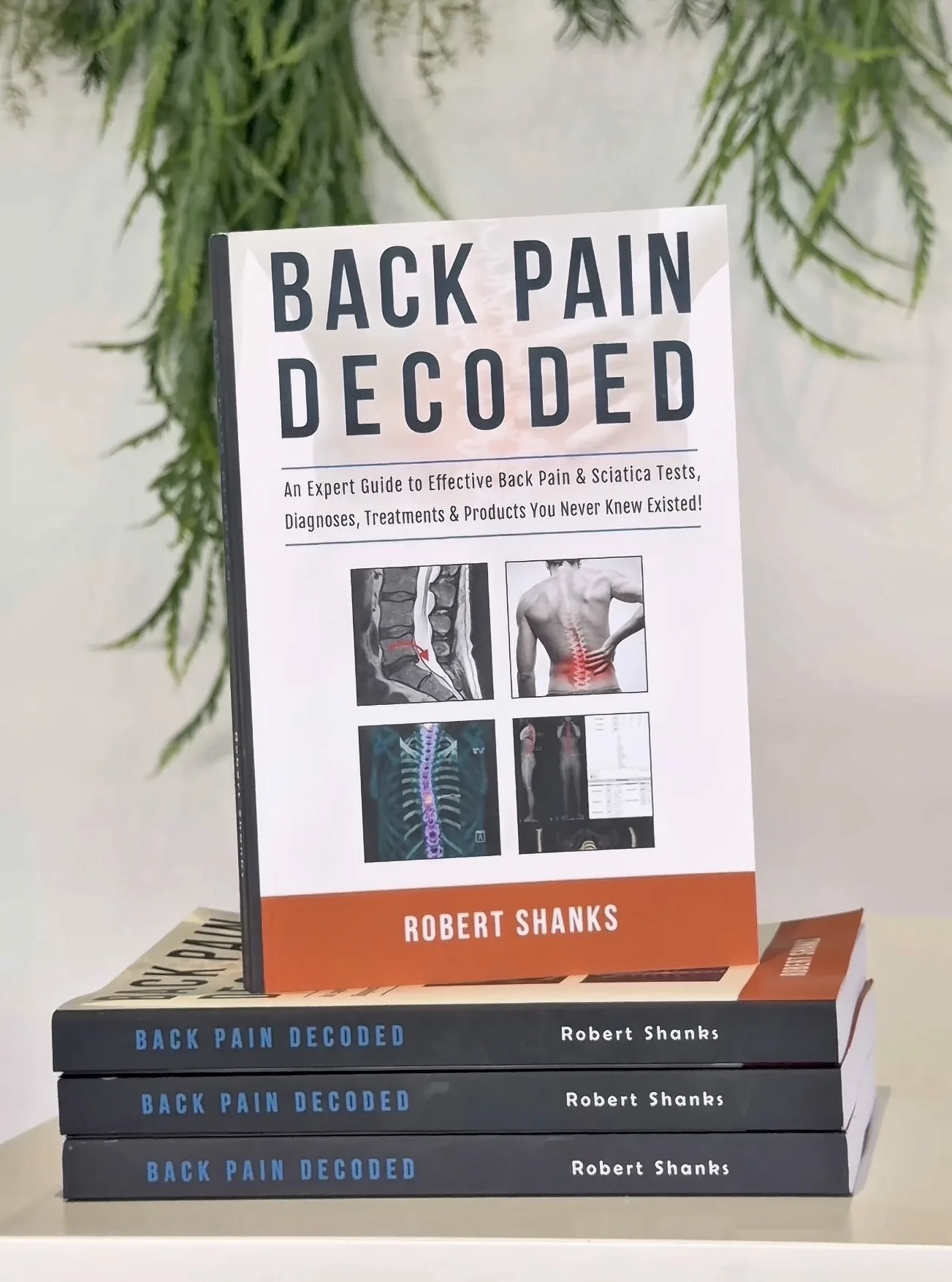 Back Pain Decoded book by Robert Shanks